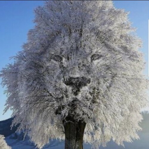 The world is not what it seems.
I'm wide awake 👀 are you? 
Truth seeker.📚
I do NOT consent. 🚫
FREEDOM‼📣
I love Trump...