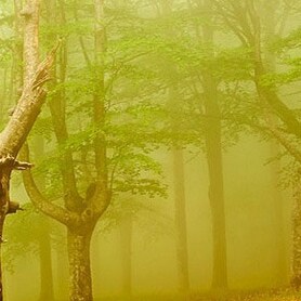 Conservative Republican. Born and raised in southern California. BA in history in 1990. Joined the army in 92 to get out...