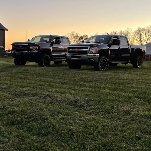 All about our Freedom