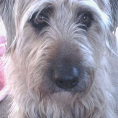 America First 🇺🇸