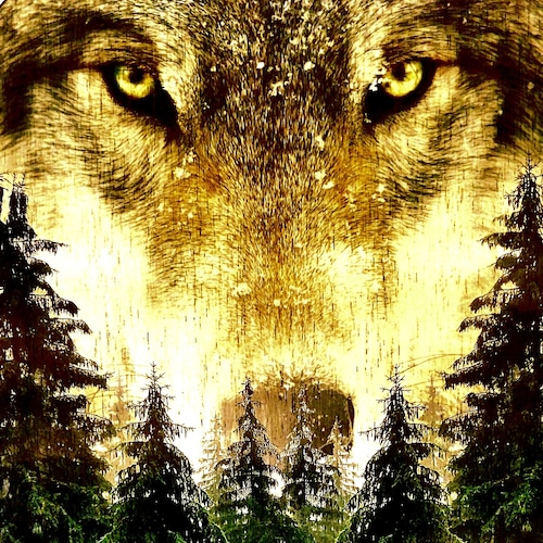 My Freedom is from God.   Citizen Not a Subject☆
Rom8:28 "It's All Good"🤙