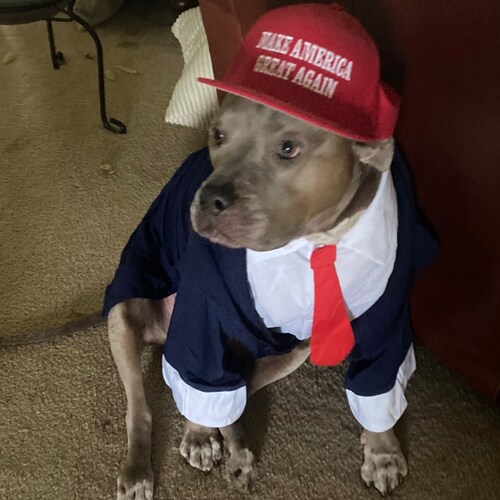 “PURE BLOOD”, 50 year old submarine veteran, Patriot,pro constitution, gun, life, diesel power, NO PRONOUNS👌🏻