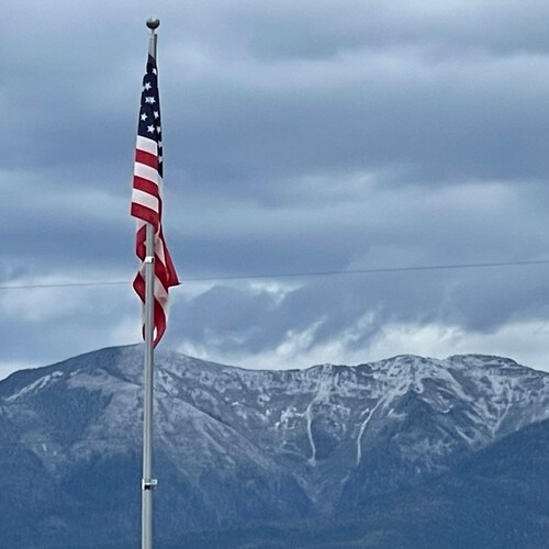 Patriot, Lover of Freedom, Free Speech, Vax doesn’t work, Let’s Go Brandon, Bitcoin 🍊🍊🍊