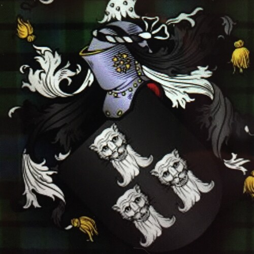 I believe in Christ🎚and I believe in laughter 🤣Husband🤵🏻‍♂️👰🏼I voted for DJT twice and he won twice🎉 Thank you to...