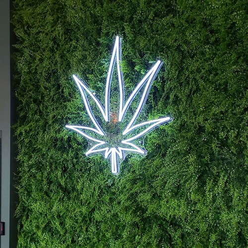 Anti Government mandate guy.