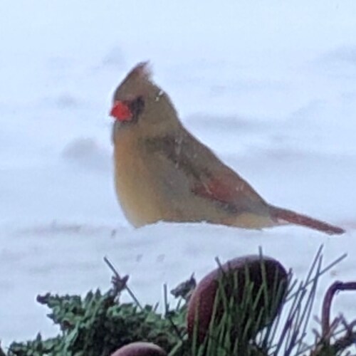 I believe in genuine femininity.  Marriage till death do us part. Motherhood is a gift. Children are a blessing.