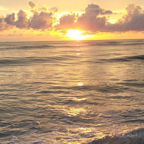 CHRISTIAN CONSERVATIVE AMERICAN PROUD AND 2ND AMENDMENT SUPPORTER PROUD TRUMPER #FJB #LGB