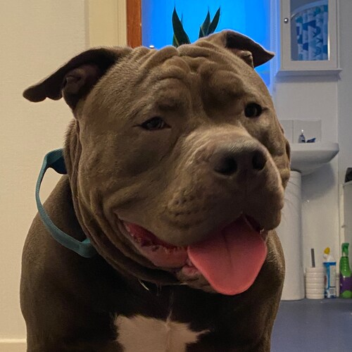 N. S. F. B.
✋❤⚔🛡