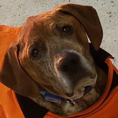 Small business owner. Husband and father.  Conservative fighting for our God given, constitutional rights. Save the chil...