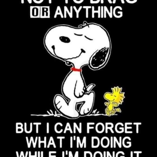 REINSTATE DONALD TRUMP NOW