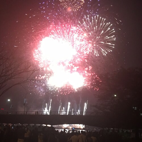 The largest minority…the individual!
Heuristics &gt; scholars