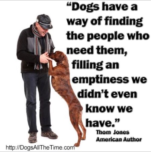 Visit Djr46's profile on GETTR. View their posts, photos, videos, and connect with them on the social platform.