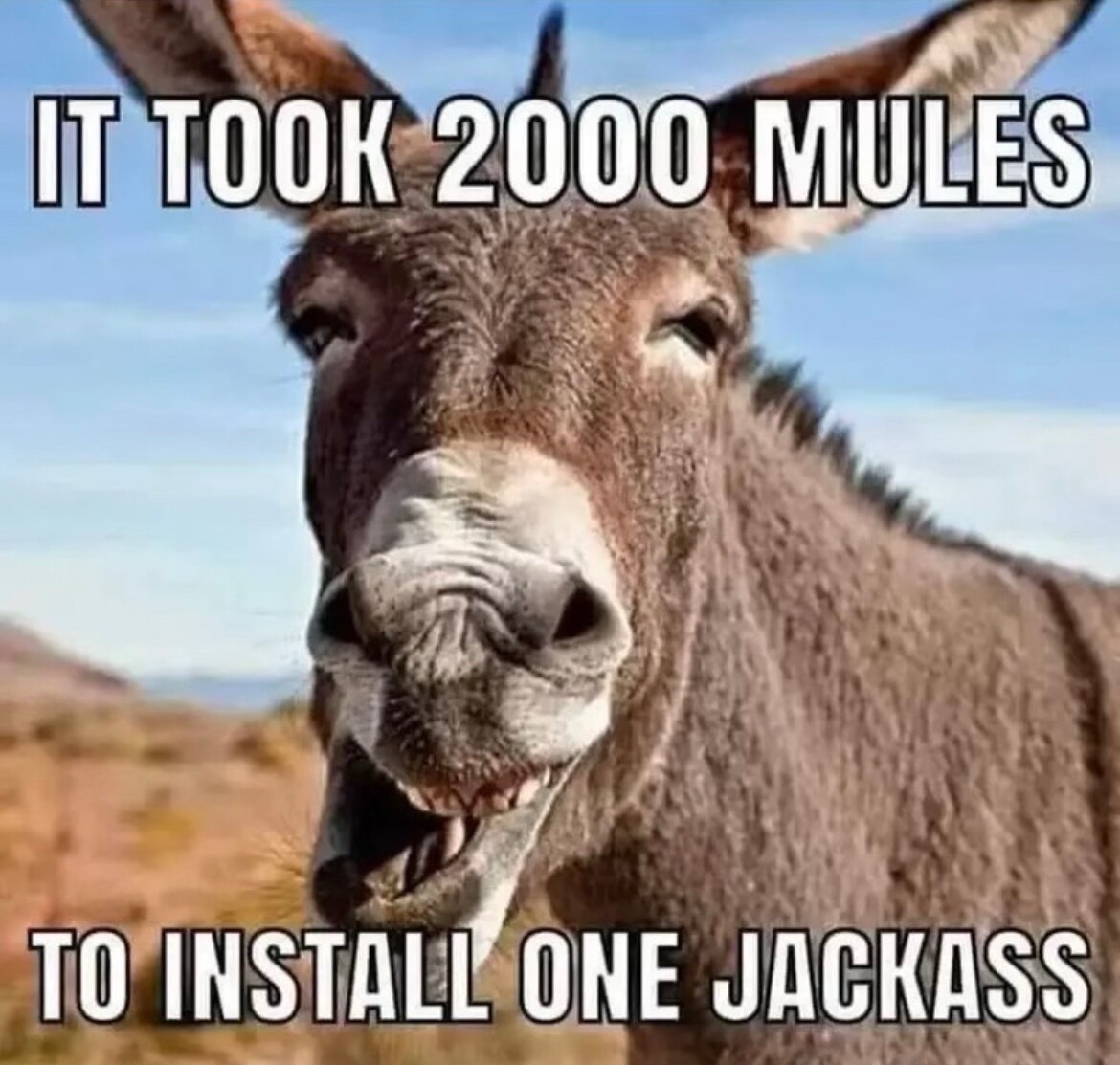 View Mommie_03🇺🇸🍀's post on GETTR. Join the discussion, share your thoughts, and connect with the community.