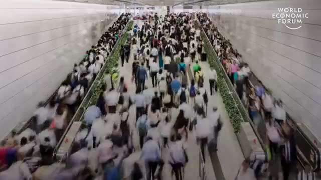 WEF pushing eating insects again.

Listen to these sick fucks: "insects are become trend, the wester...