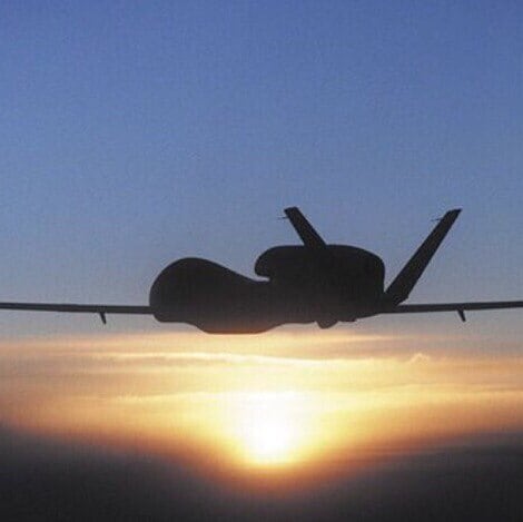 🌸共建新中国联邦🌸