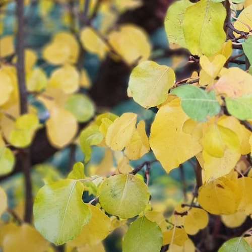 MAGA. Totally against the great reset, CRT, socialism. Love the Bannon Warroom. Trump won in 2020. Stop covering up the ...