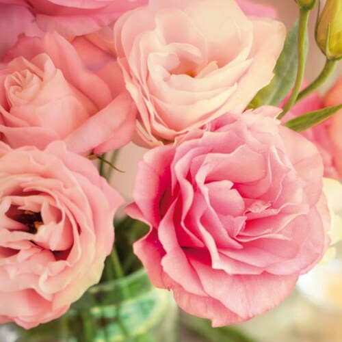 Visit 小方's profile on GETTR. View their posts, photos, videos, and connect with them on the social platform.