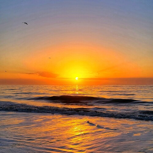 stand up for America...
  Fight fight fight