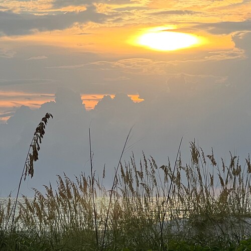 One Nation Under God
Patriot and Encourager