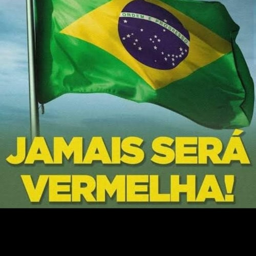 PREFIRO UM PRESIDENTE QUE FALA PALAVRAO E AGE COM A RAZAO, DO QUE UM PRESIDENTE LADRÃO.