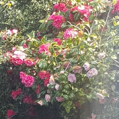 訪問 Grumpygranny 在 GETTR 的個人資料。查看他們的貼文、照片、影片，並在社交平台上與他們聯繫。