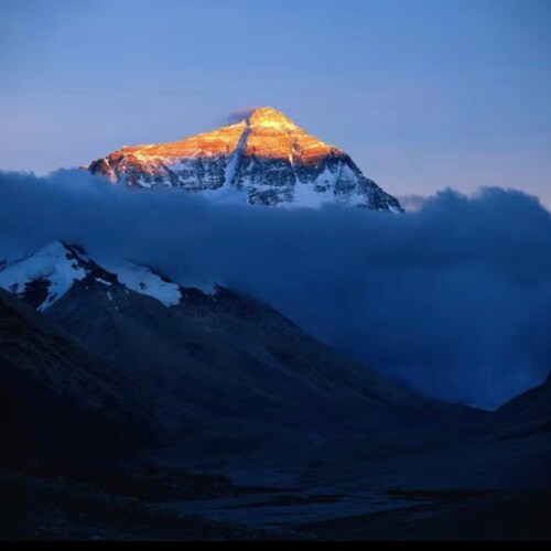 希望民主、法治早日回到中國大地。