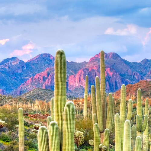 News from Local, National, and Global Perspectives. "Living in a Day Where Knowledge is Abundant, But Wisdom is Scarce."