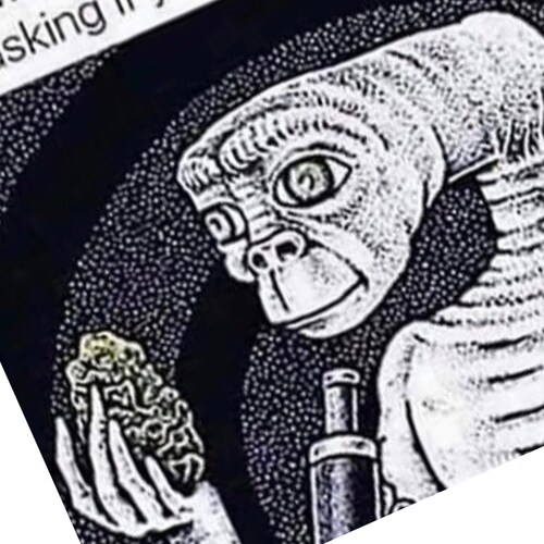 I love America and eating meat.