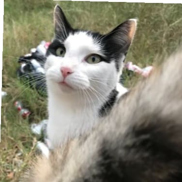 Just hanging out. Veteran. #1A, #2A, #AmericaFirst, #Freedom. #LetsGoBrandon, #FJB, #PureBlood, #SaltyArmy, GOA, FPC, NO...