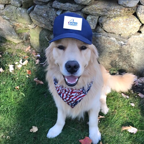 Wife, Mom, Daughter, Dog Lover, Patriot, Conservative, MAGA, Liberalism is a mental disorder, Biden will NEVER be my Pre...