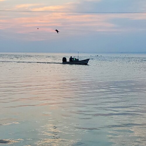 Marco Polo has the contents on the laptop in an easily searchable format. 

MarcoPolousa.org