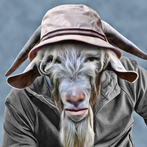 🟢 Rumble 
https://rumble.com/c/MoutonEnrage

🟡 Odysee
https://odysee.com/@Lemoutonenrage:9

🔴 CrowdBunker
http...