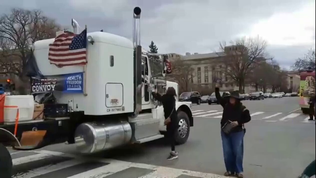 The People Convoy Passes Out Copies of RFK Jr.'s 'The Real Anthony Fauci' as They Pass By the National Mall