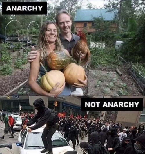 @OHMichael & @OperationFollow follows back 🕊🇺🇸