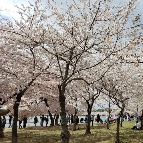 Think Globally , Act Locally ! 有币有主意，没币看天意 ！