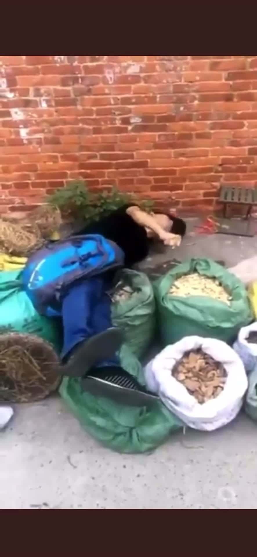 9月18号：看着一个自己的同类这样的死去，周围的人却如此的冷漠，幸灾乐祸，这已经不是人道和不人道的这个层面的问题了。人类正在走向一个关键的十字路口，自私贪婪，冷漠无知，愚蠢……会毁掉太多人的生命。