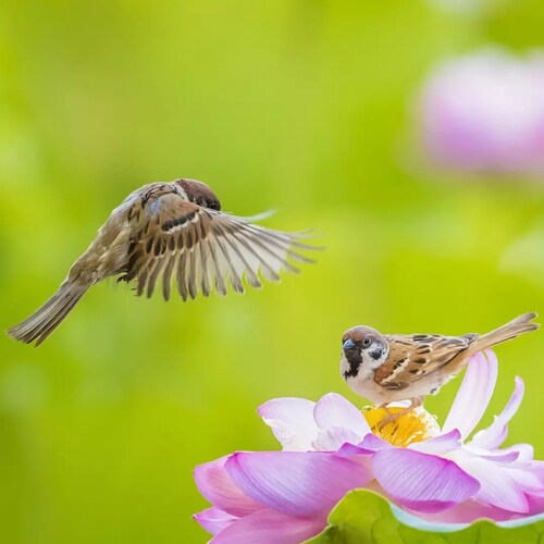 Visit zekang's profile on GETTR. View their posts, photos, videos, and connect with them on the social platform.