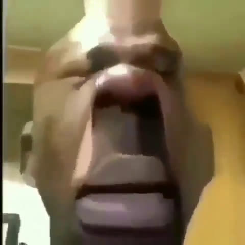 regeet if you think we should have notifs on this app @trumpteam 