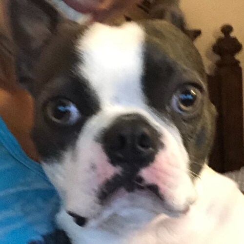 A constitutional conservative.