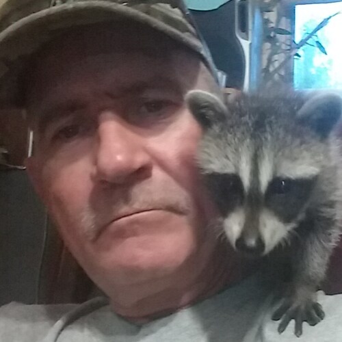 Visit Markqueen's profile on GETTR. View their posts, photos, videos, and connect with them on the social platform.