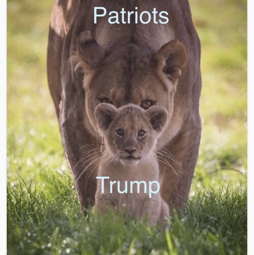 Female, God loving, conservative, 1A,2A, America first, MAGA