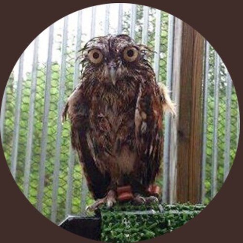 One must strive for maximum social credit score to achieve true enlightenment.

Six time Twitter castoff.