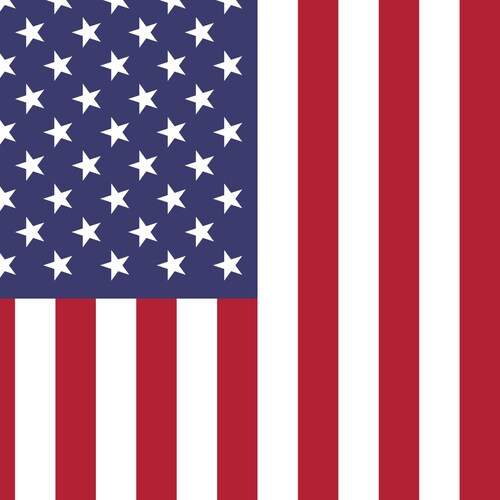 God Bless America. I support President Trump and the MAGA agenda.