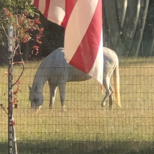 Mississippi no direct messages