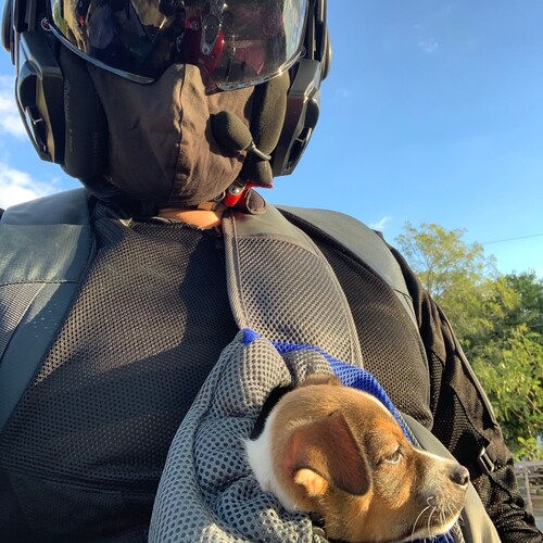 Everything will be fine.