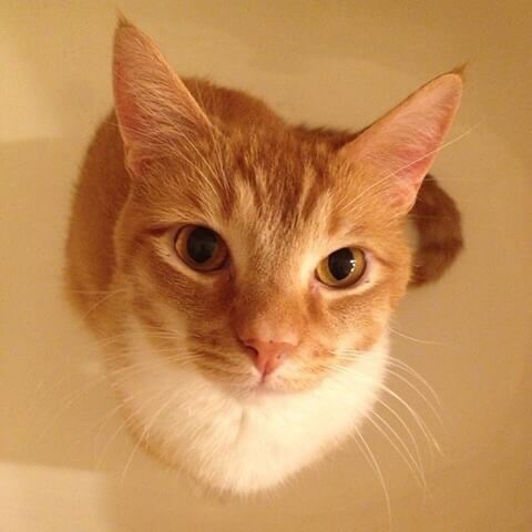 Wife, Mother, Jesus is my Savior!