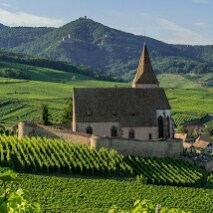 Français, patriote, conservateur. 🇫🇷🖕🚫 antifas, wokes, LGBT, GAFAM, gauchistes, libéraux, planning familial, BLM, ru...