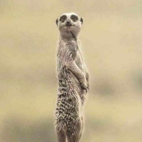 Christ follower from the free state of Texas