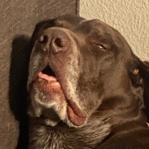 lurking about the socials