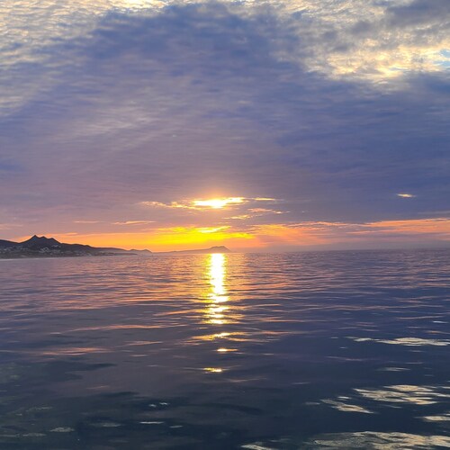 Minimum government,  maximum freedom!